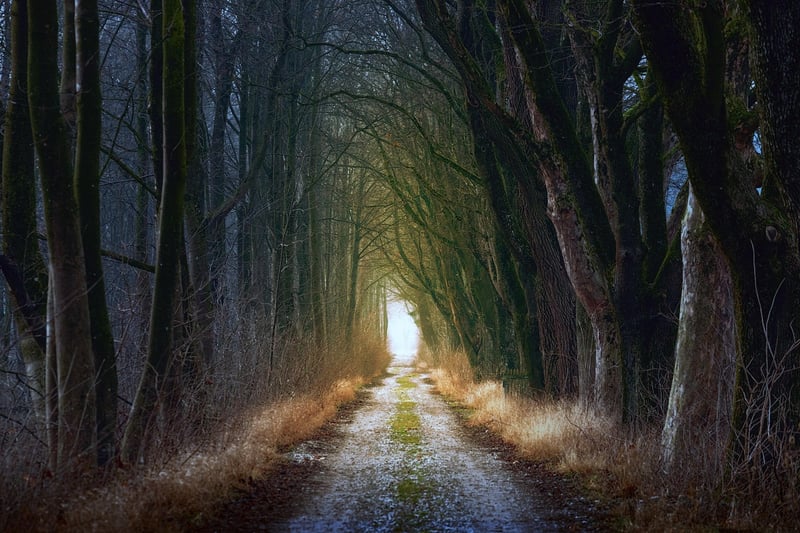 Interactive Fairy-tale Games